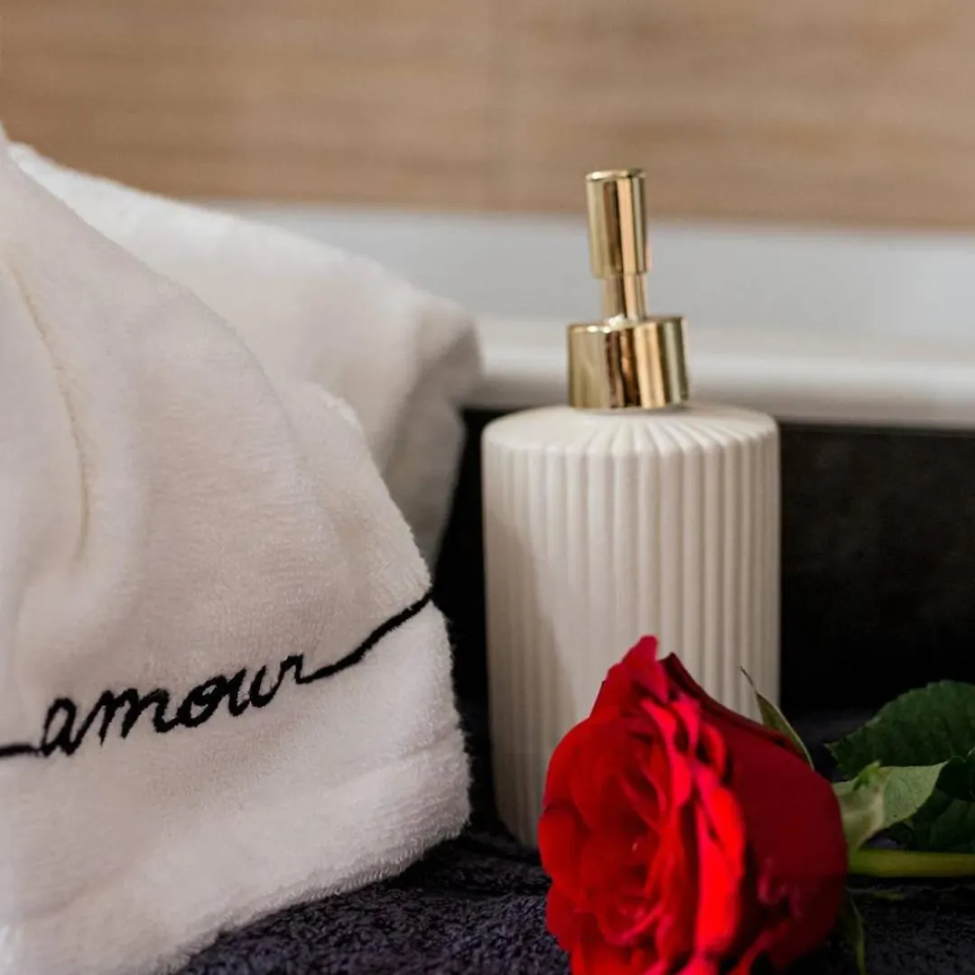 סן-אטיין Suite Jean Jaures - Love Room