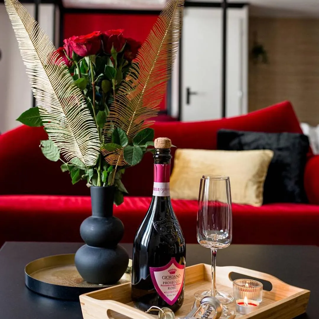סן-אטיין Suite Jean Jaures - Love Room דירה